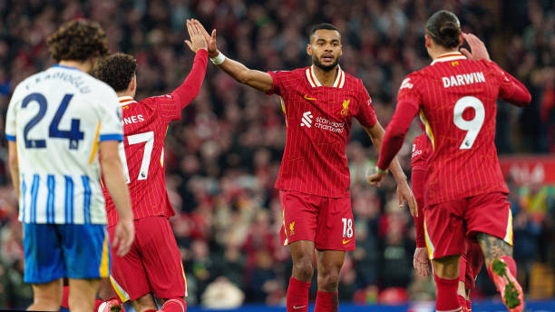 在本文中 在本文中