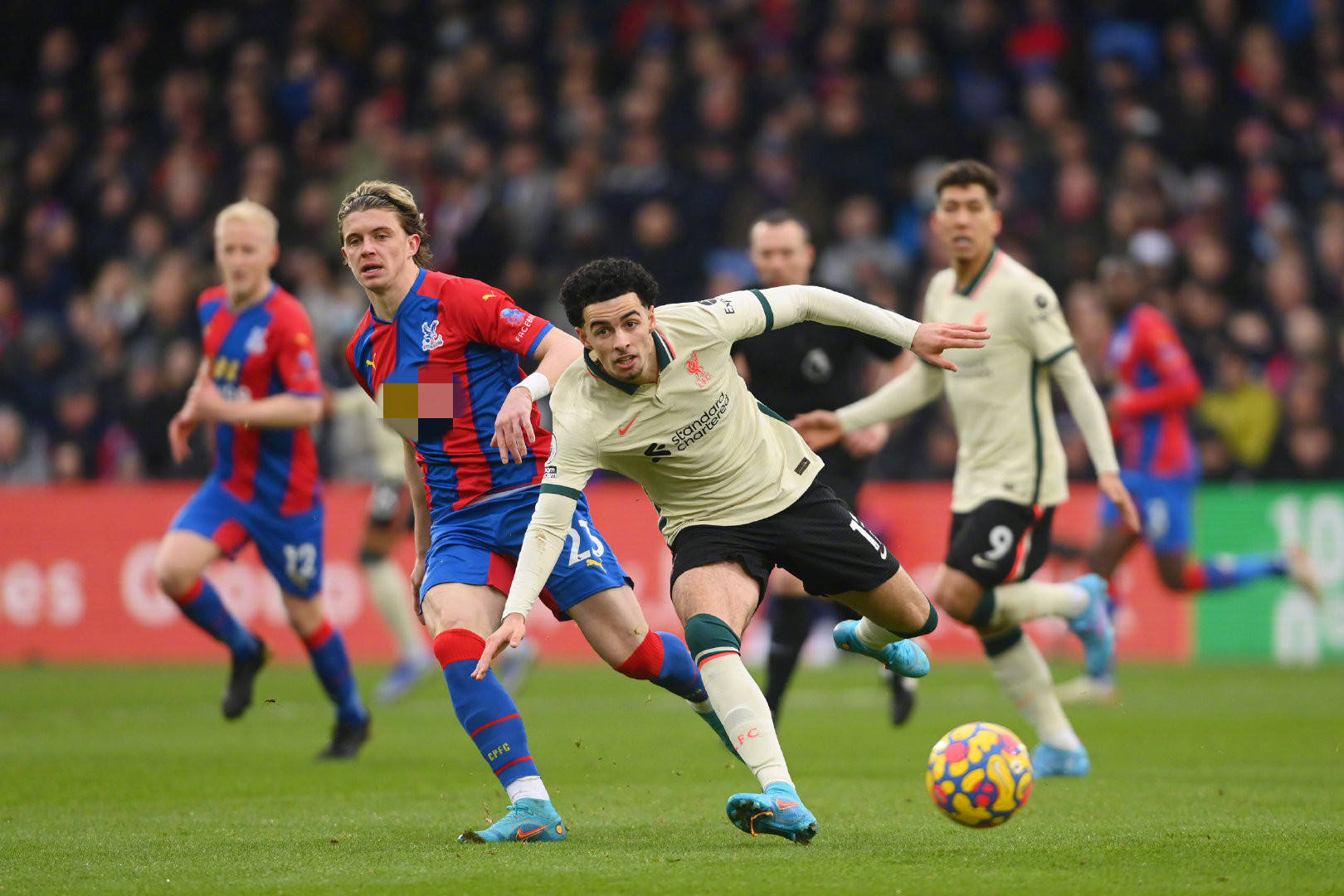 尽管德科对 尽管德科对